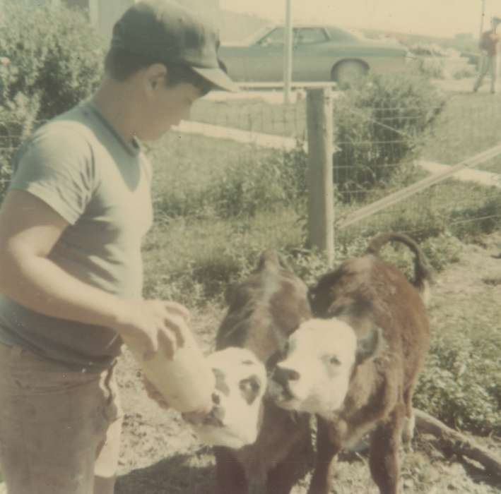 Meyers, Peggy, history of Iowa, Iowa History, Animals, West Liberty, IA, Iowa, Farms, Children