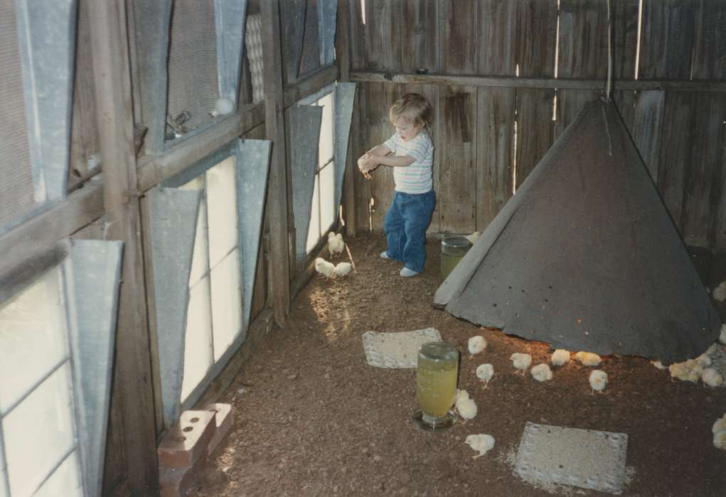 chicks, Boylan, Margie, history of Iowa, Iowa History, Humeston, IA, Barns, Animals, chickens, chicken coop, Iowa, Farms, Children