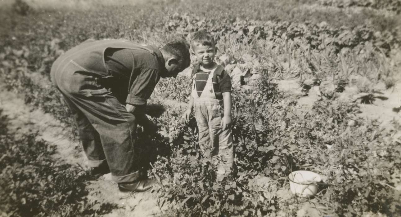history of Iowa, Iowa History, Independence, IA, Iowa, Children, Farms, peas, Straw, Dale