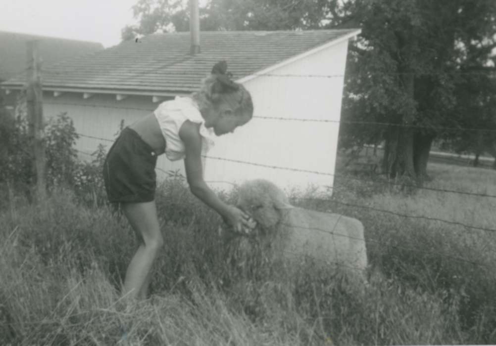 Iowa, grass, Animals, Children, sheep, fence, Taylor County, IA, Maharry, Jeanne, Farms, history of Iowa, Iowa History