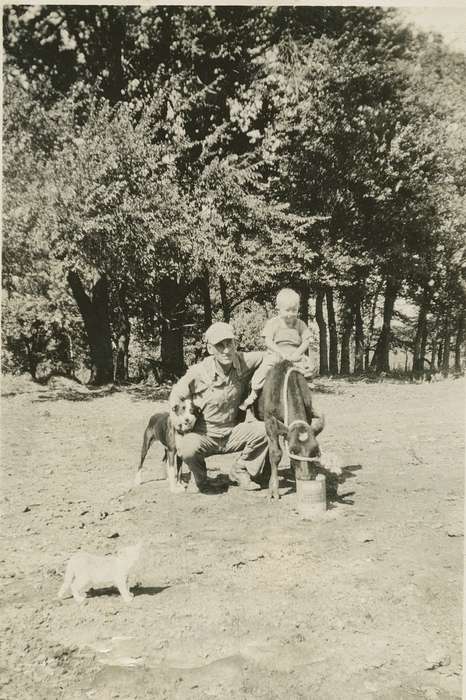 cat, history of Iowa, Iowa History, Lotts Creek, IA, Animals, Iowa, Thul, Cheryl, cow, Farms, Children, dog
