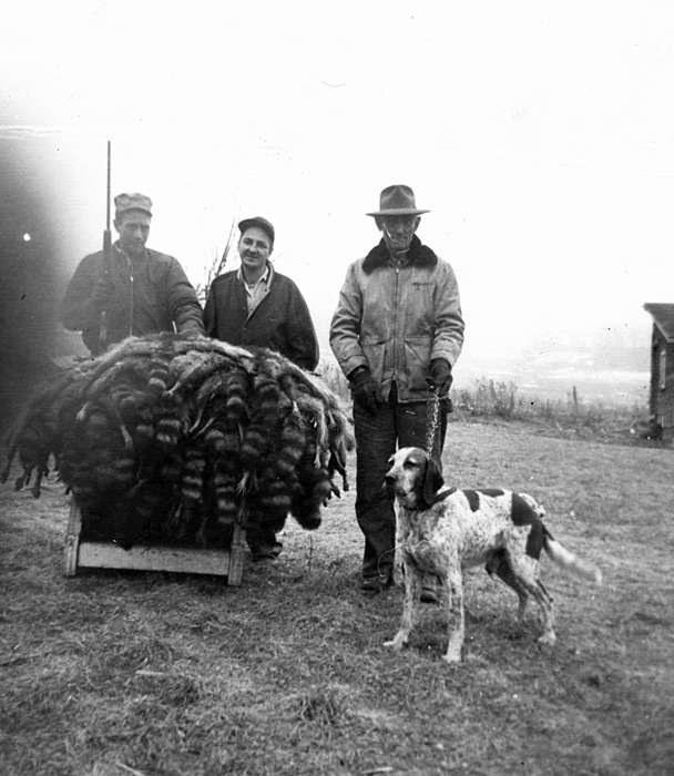 Outdoor Recreation, Portraits - Group, fur, racoon, Iowa, Iowa History, dog, Bemis, Amy, Dubuque, IA, history of Iowa, pelts