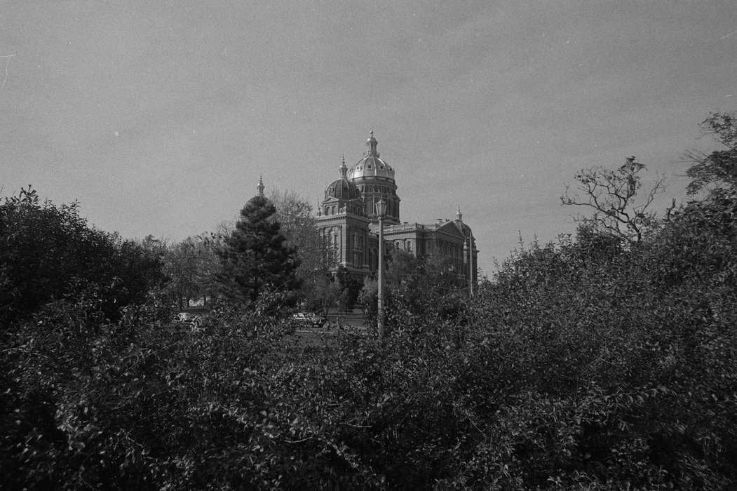hedge, dome, history of Iowa, capitol, Iowa History, Lemberger, LeAnn, street light, Iowa, Cities and Towns, Landscapes, tree, Des Moines, IA