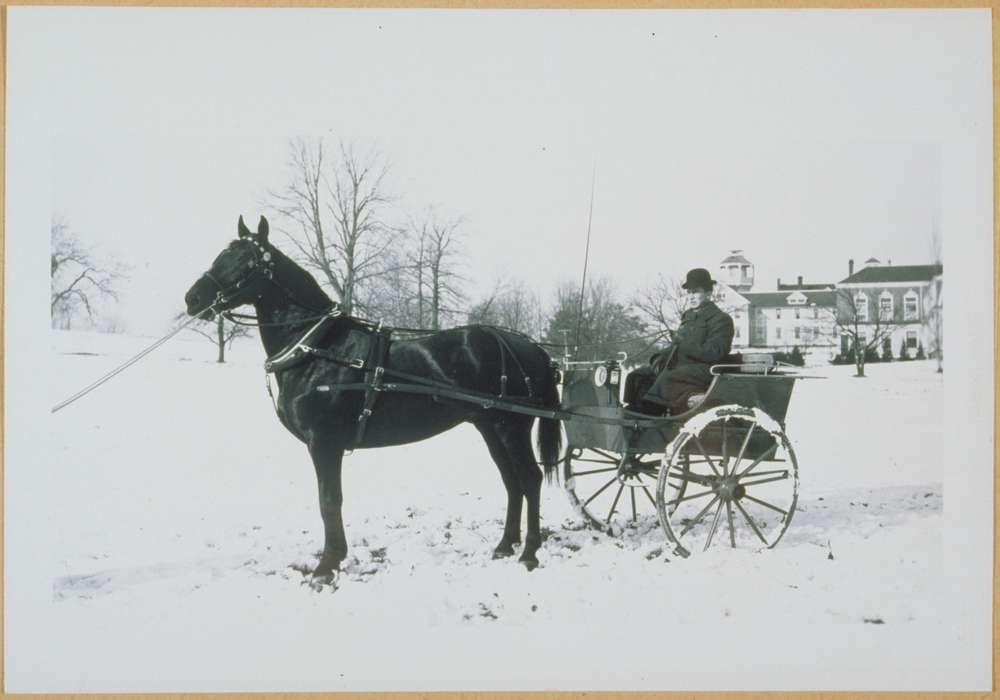 Iowa, Storrs, CT, carriage, history of Iowa, horse, Iowa History, Archives & Special Collections, University of Connecticut Library