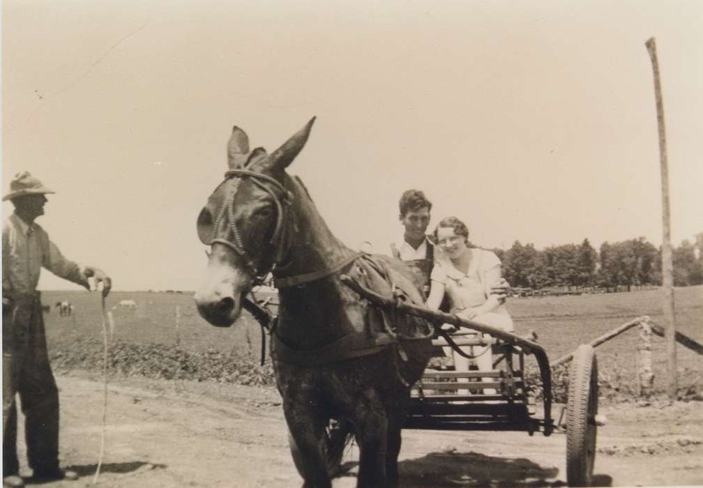 mule, Iowa, Animals, Leisure, first date, Whittemore, IA, history of Iowa, Thul, Cheryl, Iowa History