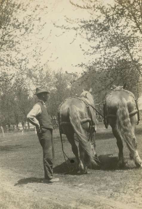 history of Iowa, Iowa History, Mortenson, Jill, Macey, IA, Animals, Iowa, Farms, horse