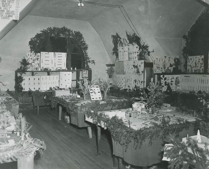 history of Iowa, contest, Iowa History, Entertainment, Webster City, IA, garland, insect collecting, jars, Iowa, McMurray, Doug