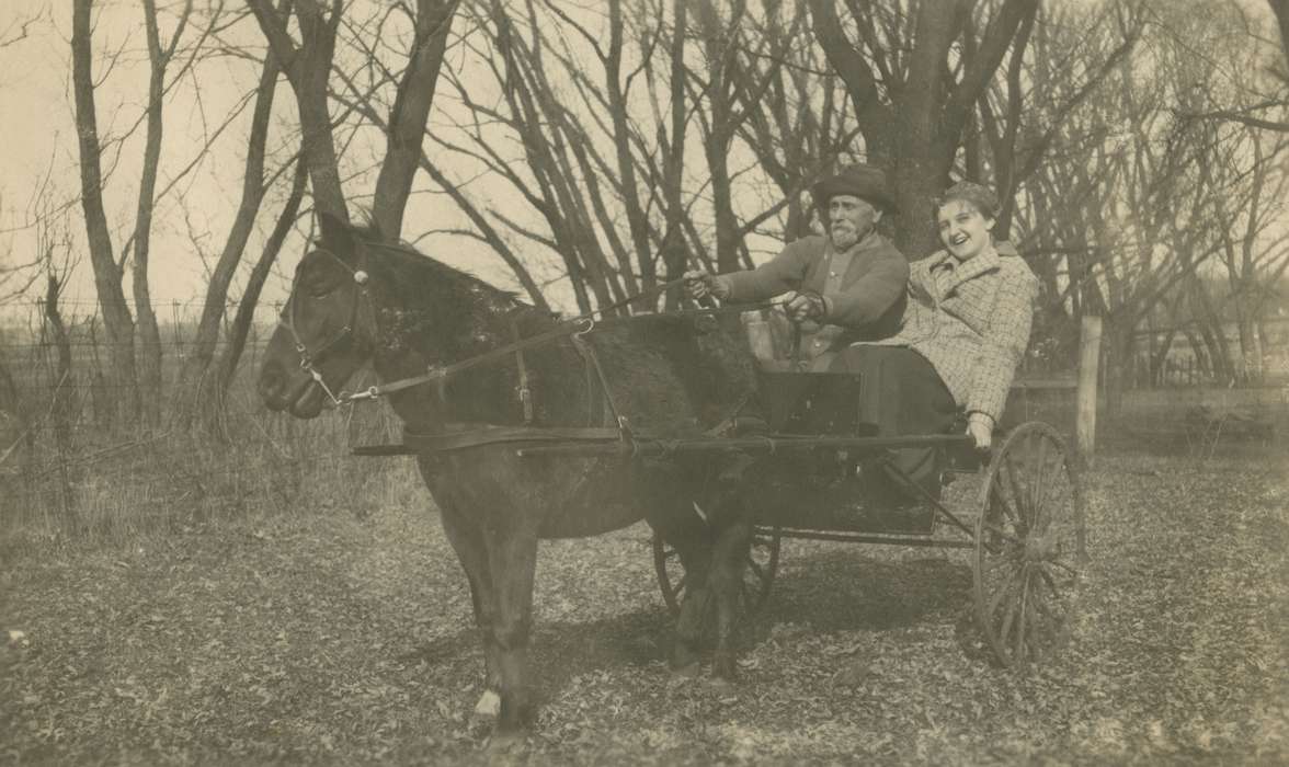 Portraits - Group, horse and buggy, Animals, Iowa History, Mortenson, Jill, Iowa, Macey, IA, horse, history of Iowa