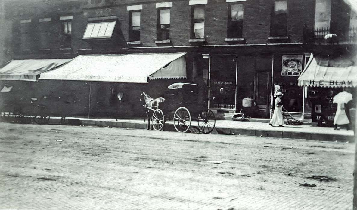 Anamosa, IA, history of Iowa, storefront, Anamosa Library & Learning Center, Animals, Main Streets & Town Squares, horse carriage, Cities and Towns, Iowa, carriage, horse, Iowa History