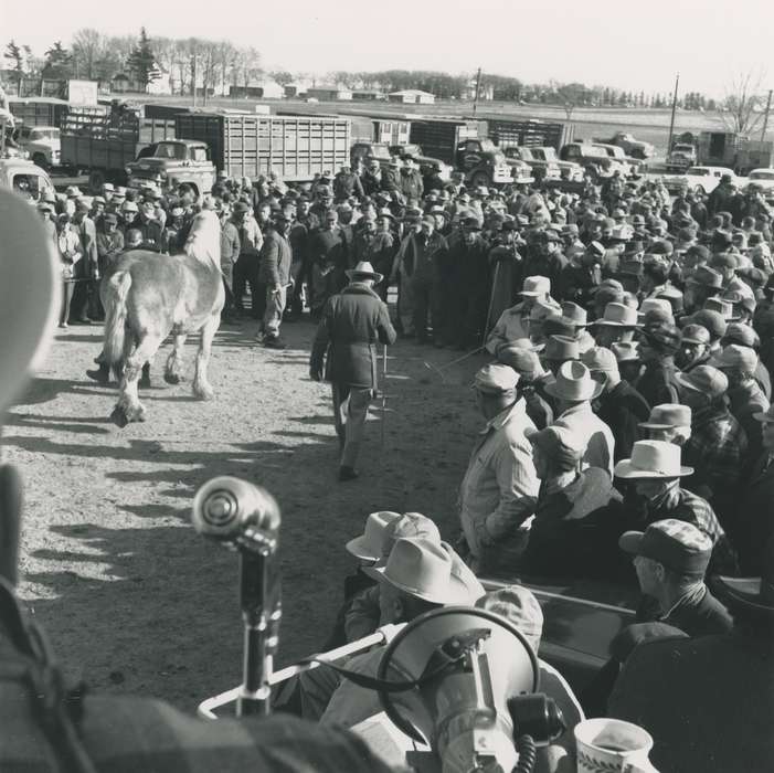 history of Iowa, Waverly Public Library, Iowa, horse, horse show, microphone, crowd, megaphone, Iowa History, IA, Fairs and Festivals