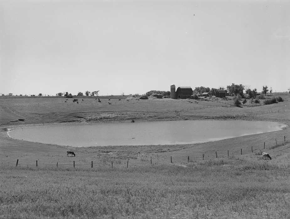 Library of Congress, history of Iowa, scenic, silo, Landscapes, Iowa, pond, Barns, pasture, cow, grazing, Iowa History, Farms, Lakes, Rivers, and Streams, Animals, hay mound