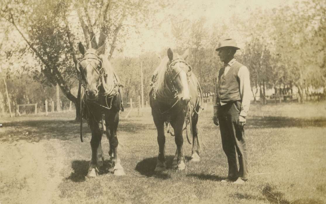 history of Iowa, Iowa, Mortenson, Jill, Iowa History, Macey, IA, horses, Animals
