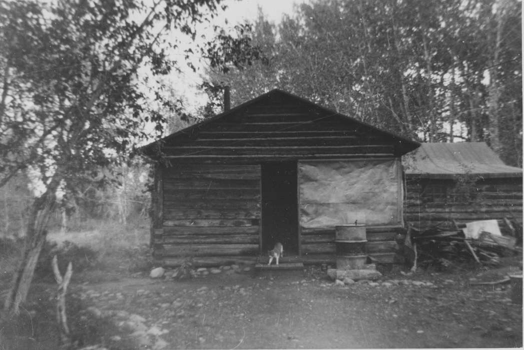 Travel, log cabin, Homes, history of Iowa, Ehlers, Monte, Iowa, Moose, WY, Iowa History, cabin, cat