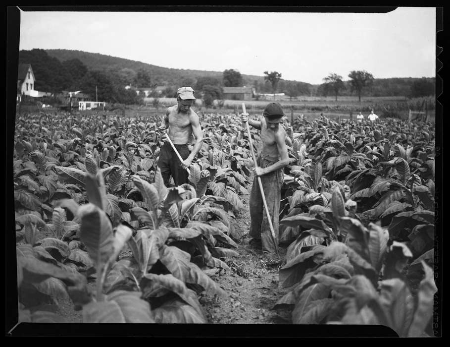 Iowa History, Iowa, Archives & Special Collections, University of Connecticut Library, Ellington, CT, history of Iowa