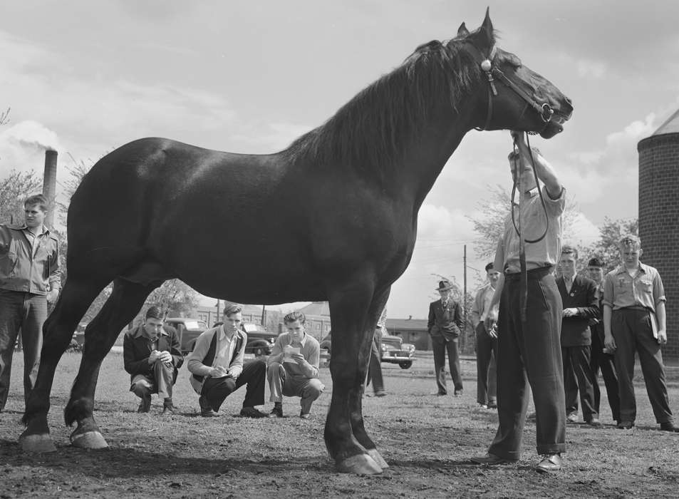 Ackerman, Bill, history of Iowa, Iowa History, Animals, bridle, high school students, Fairs and Festivals, Iowa, Schools and Education, horse