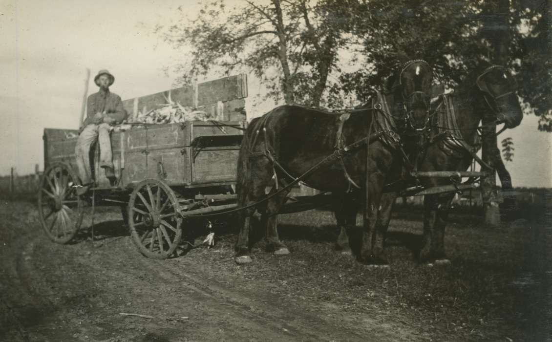 Animals, wagon, corn, Iowa History, Iowa, Mortenson, Jill, Macey, IA, horse, Farms, Farming Equipment, history of Iowa