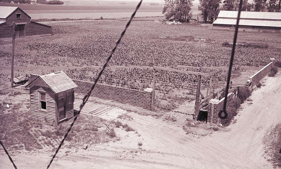 shed, Lyon, Howard, Aerial Shots, Orange City, IA, history of Iowa, brick, gravel, Farms, wood, Iowa, farm, cornfield, Iowa History, driveway