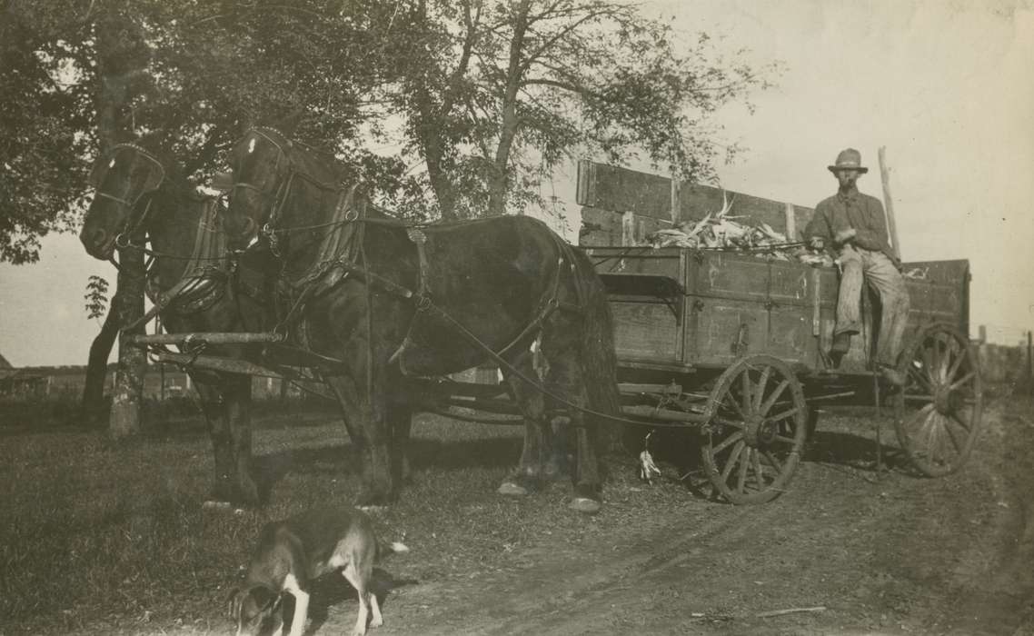 Farming Equipment, history of Iowa, Iowa History, Mortenson, Jill, Macey, IA, corn, Animals, wagon, Iowa, Farms, horse, dog, Portraits - Individual