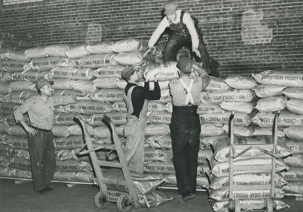 working men, history of Iowa, Iowa History, Businesses and Factories, stacking, Waverly, IA, Iowa, sugar factory, Food and Meals, Waverly Public Library, Labor and Occupations