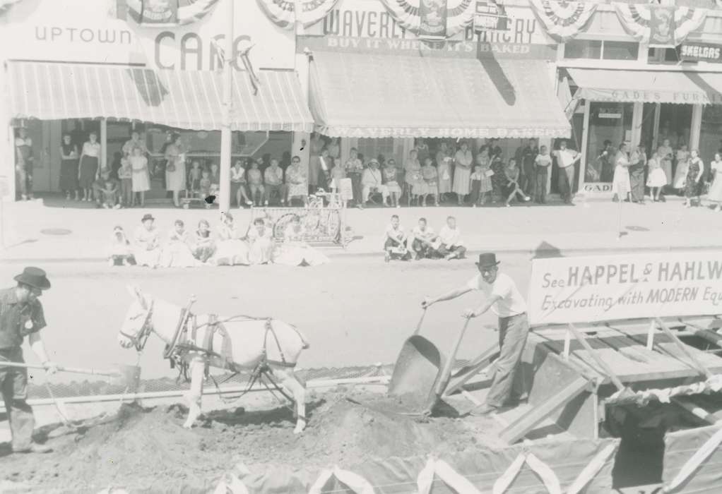 Cities and Towns, Fairs and Festivals, mule, Farming Equipment, Iowa History, Waverly Public Library, Iowa, history of Iowa, Animals, parade, shovel, wheelbarrow, Main Streets & Town Squares