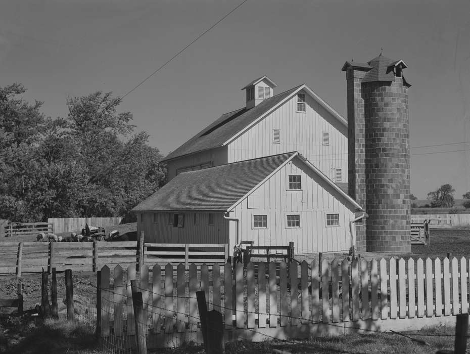 Library of Congress, history of Iowa, silo, pig farm, agriculture, Iowa, Barns, wooden fence, Iowa History, Farms, Animals