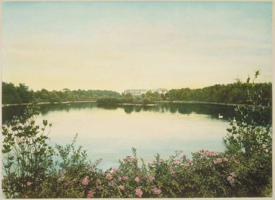 Groton, CT, history of Iowa, Iowa History, swan, pond, Archives & Special Collections, University of Connecticut Library, Iowa, flower