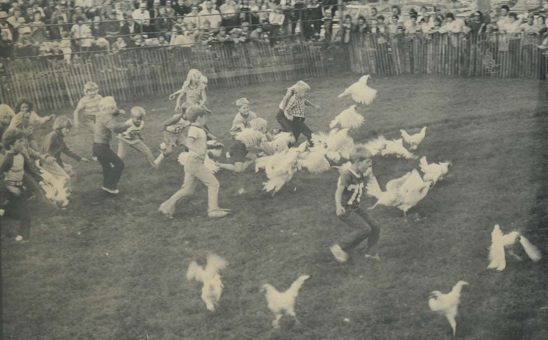 running, history of Iowa, chicken, county fair, Iowa History, Animals, Waverly, IA, fair, Iowa, Children, Waverly Public Library