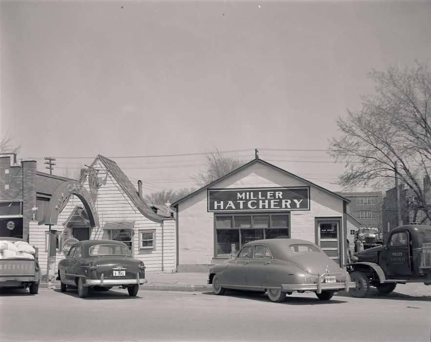 mainstreet, Main Streets & Town Squares, history of Iowa, hatchery, Iowa History, storefront, Motorized Vehicles, Businesses and Factories, Waverly, IA, cafe, Iowa, Cities and Towns, Waverly Public Library