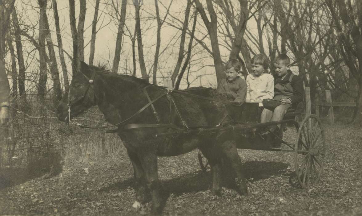 Portraits - Group, horse and buggy, Animals, Iowa History, Mortenson, Jill, Iowa, Macey, IA, horse, Children, history of Iowa