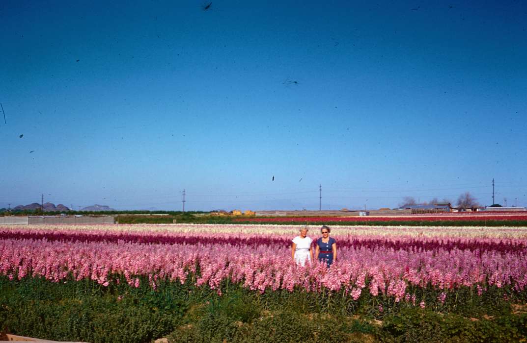 Portraits - Group, Iowa History, Iowa, field, Harken, Nichole, Travel, Outdoor Recreation, flower, history of Iowa