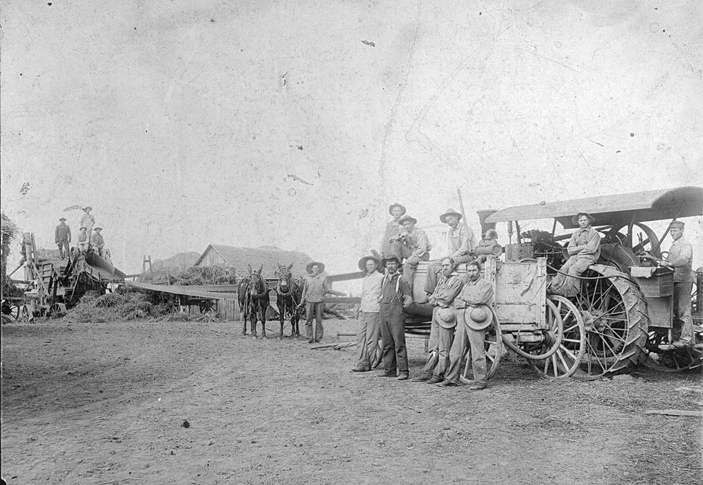 mule, Iowa, Animals, Mason City, IA, Farming Equipment, Farms, history of Iowa, Brockmeyer, Janet, Motorized Vehicles, Iowa History, Labor and Occupations