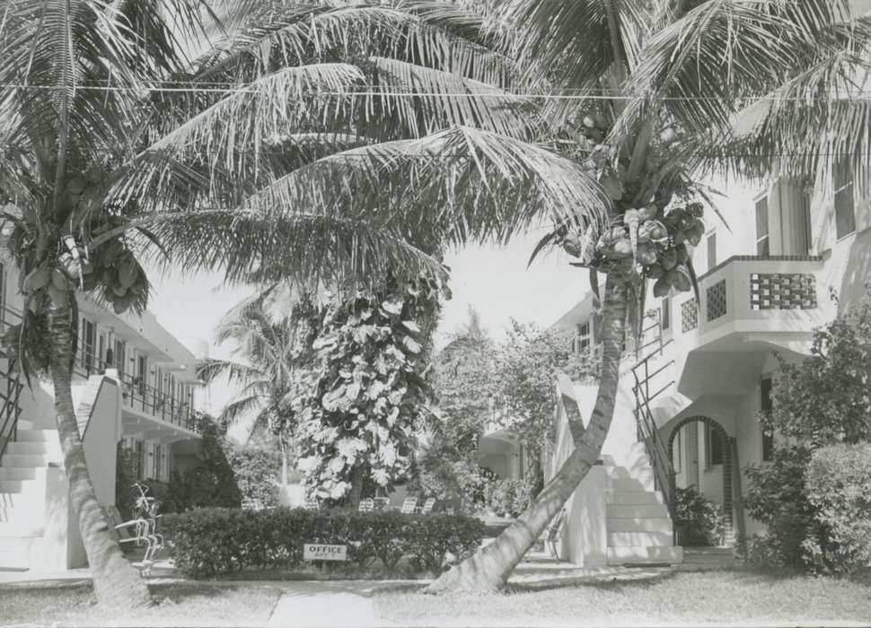 Travel, history of Iowa, Iowa History, Businesses and Factories, Hollywood, FL, palm tree, Iowa, McMurray, Doug, hotel