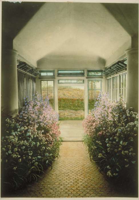 Groton, CT, flower, Iowa History, Archives & Special Collections, University of Connecticut Library, Iowa, history of Iowa