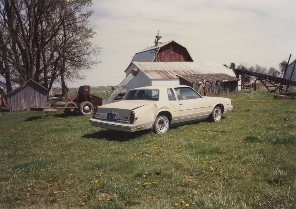 oldsmobile, Iowa, barn, Barns, car, dandelions, Farming Equipment, Boylan, Margie, history of Iowa, Motorized Vehicles, Iowa History, Murray, IA