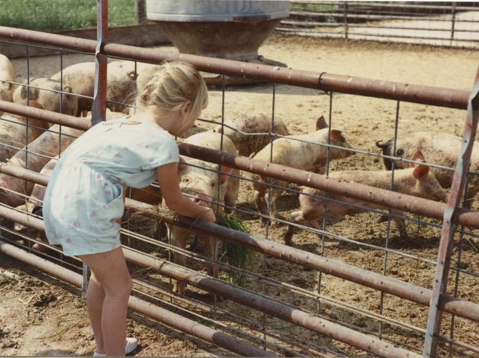 piglet, history of Iowa, Iowa History, McDermott, Helen, pig, Animals, Epworth, IA, hog, Iowa, Farms, Children