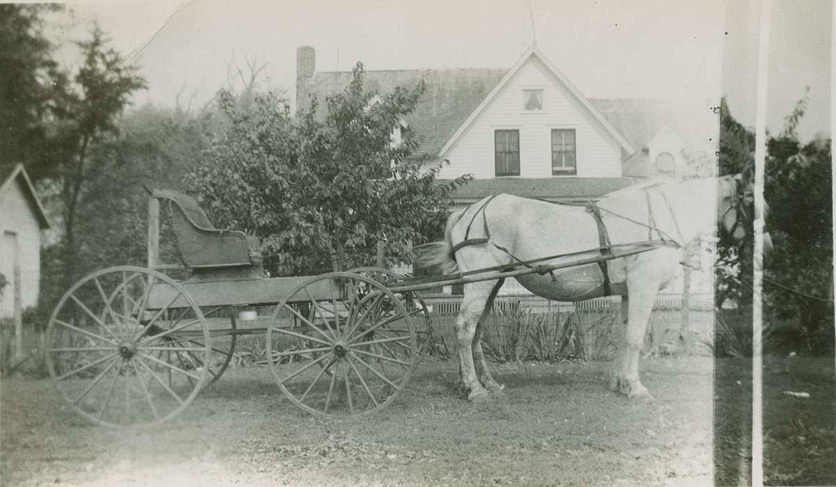 Animals, Iowa History, Iowa, horse, history of Iowa, Vsetecka, Delores, Homes, horse carriage, Fort Atkinson, IA