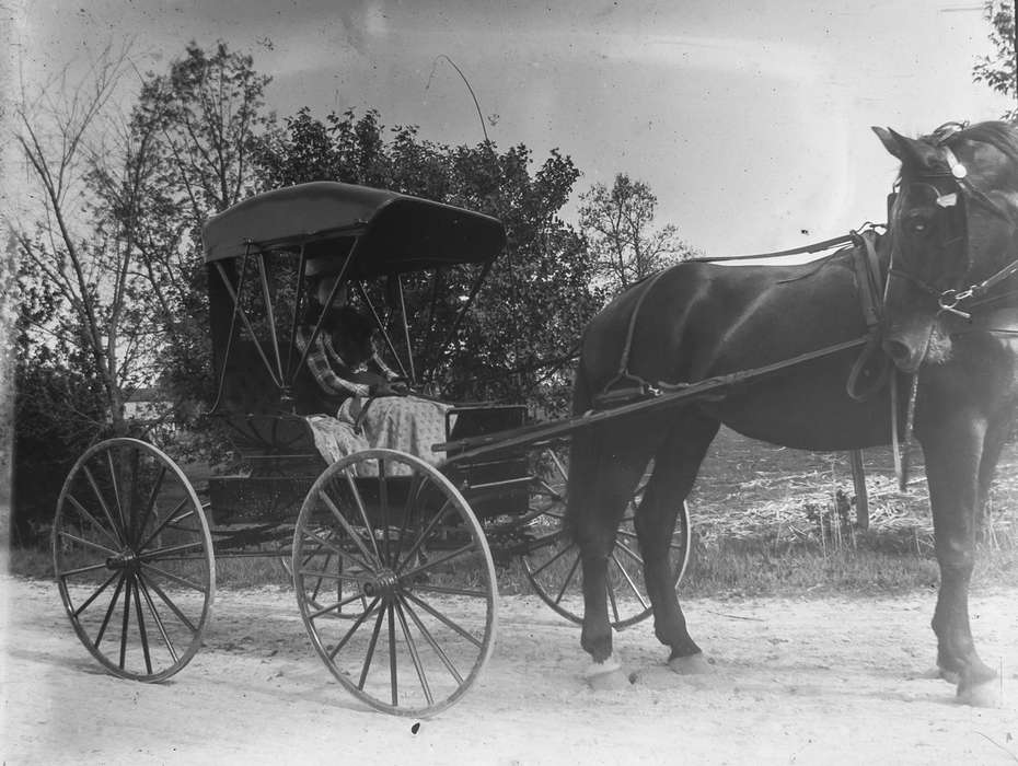 Travel, IA, Iowa, Animals, horse, horse and buggy, carriage, Anamosa Library & Learning Center, history of Iowa, Iowa History