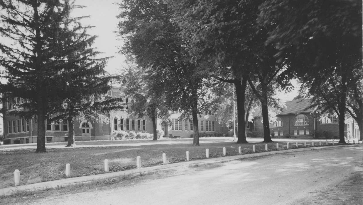 trees, Iowa, Reinhard, Lisa, Iowa History, Schools and Education, school, history of Iowa, Gladbrook, IA