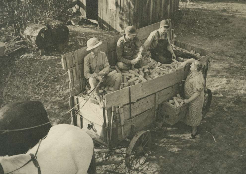 Pate, Linda, Animals, wagon, corn, Iowa History, Iowa, horse, Farms, Mediapolis, IA, history of Iowa, Food and Meals