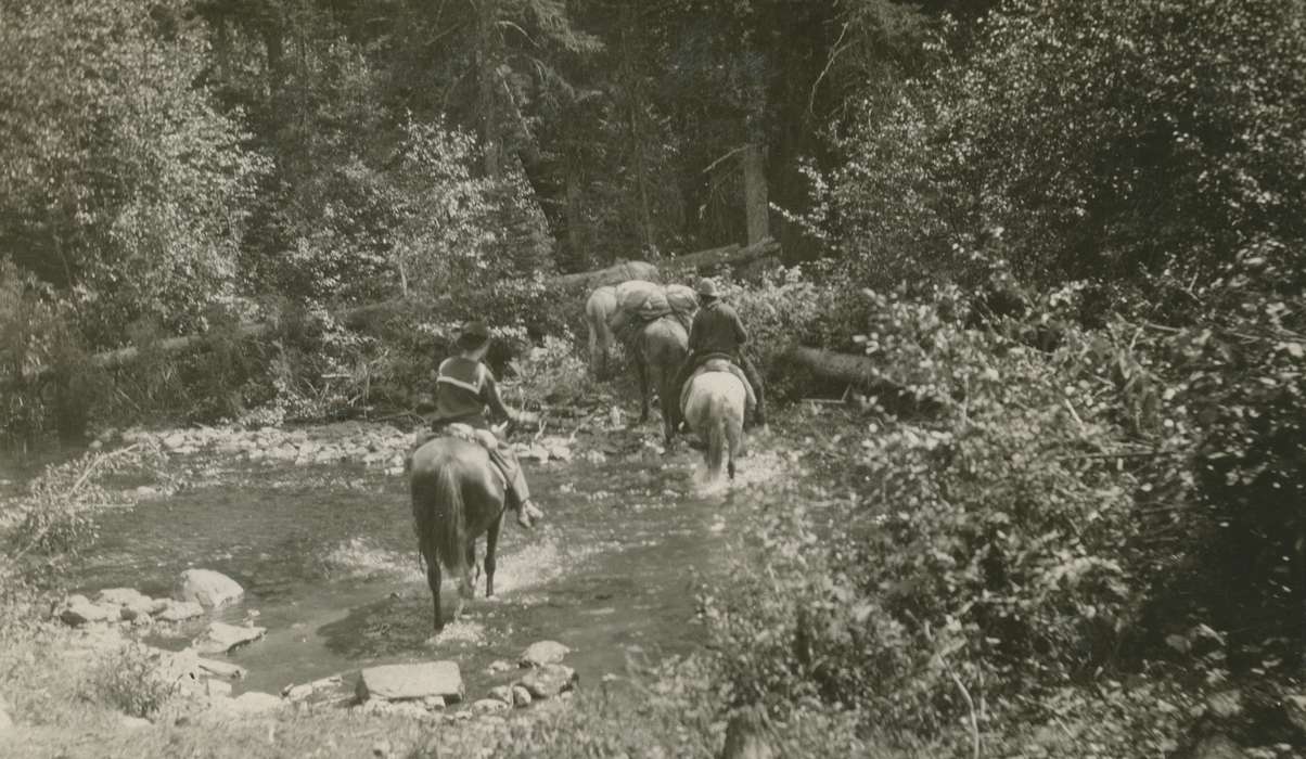 Outdoor Recreation, Travel, Yellowstone National Park, WY, stream, Iowa, Animals, horse, McMurray, Doug, Lakes, Rivers, and Streams, history of Iowa, glacier national park, Iowa History