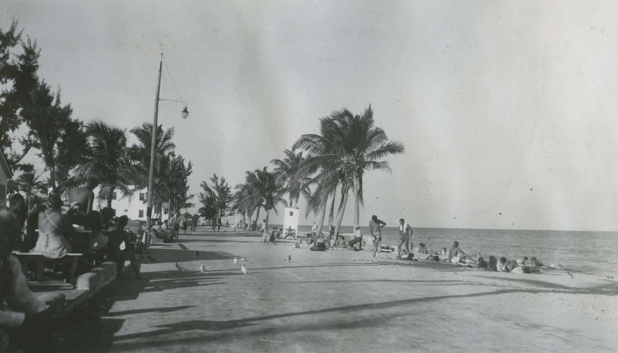 Travel, history of Iowa, Iowa History, ocean, Hollywood, FL, palm tree, pigeon, beach, Iowa, McMurray, Doug, Leisure