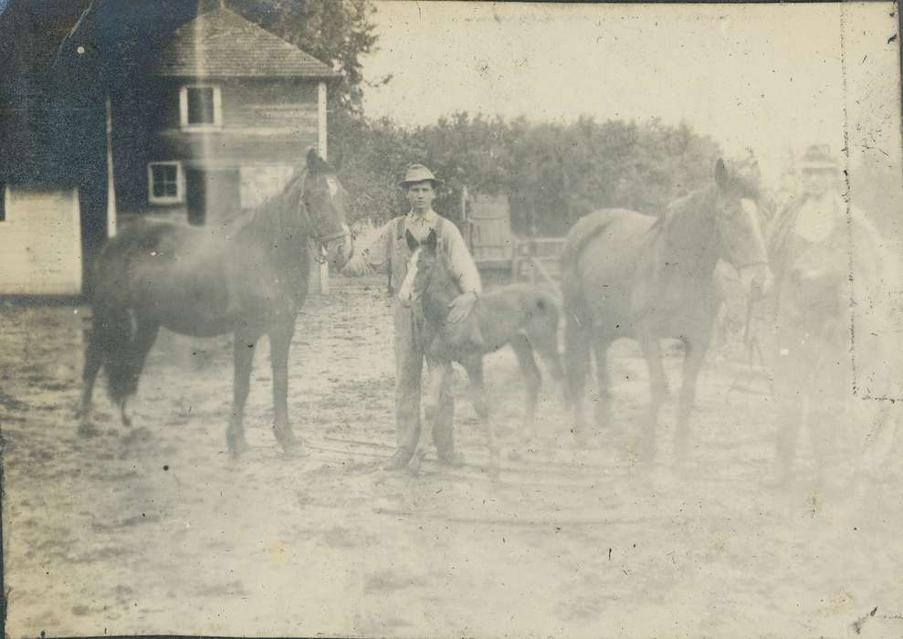 Neessen, Ben, Iowa History, overalls, Iowa, history of Iowa, foal, Portraits - Individual, Animals, IA, horse, hat