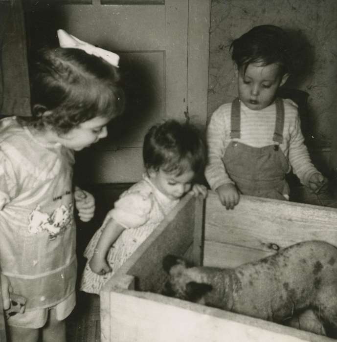 Tama County, IA, history of Iowa, Iowa History, Wiese, Rose, pig, Animals, Iowa, Farms, Children