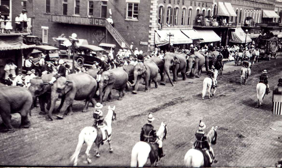 Iowa, Animals, parade, Fairs and Festivals, horse, Entertainment, Anamosa, IA, Anamosa Library & Learning Center, circus, history of Iowa, Main Streets & Town Squares, Iowa History, elephant