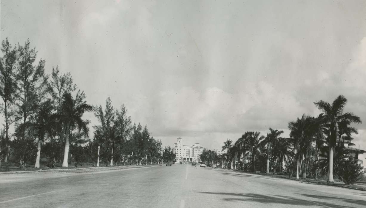 Travel, street, history of Iowa, McMurray, Doug, Main Streets & Town Squares, Iowa, Cities and Towns, hollywood, Hollywood, FL, Iowa History, palm tree