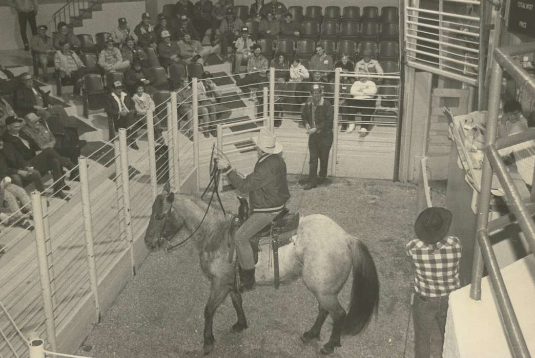 history of Iowa, hat, Entertainment, Waverly Public Library, Waverly, IA, Iowa, horse, fence, horseback, cowboy hat, saddle, Iowa History, correct date needed, people, Animals