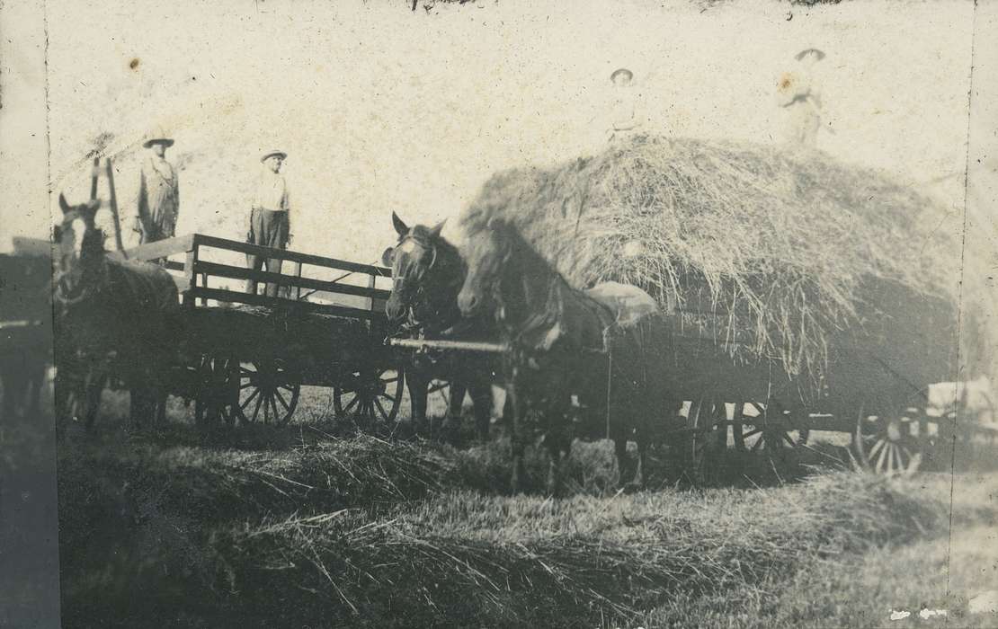 Neessen, Ben, Farming Equipment, Iowa History, hay, Iowa, Farms, history of Iowa, horse and cart, Animals, IA, Labor and Occupations