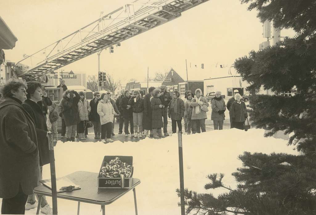 Civic Engagement, sunglasses, scarf, Waverly, IA, history of Iowa, ribbon, snow, coat, stoplight, Iowa, Waverly Public Library, Military and Veterans, Iowa History, tree, Winter, glasses