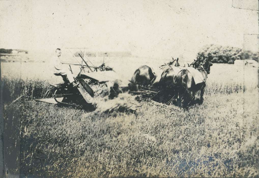 Neessen, Ben, Farming Equipment, Iowa History, hay, Iowa, history of Iowa, Animals, IA, horse, Labor and Occupations