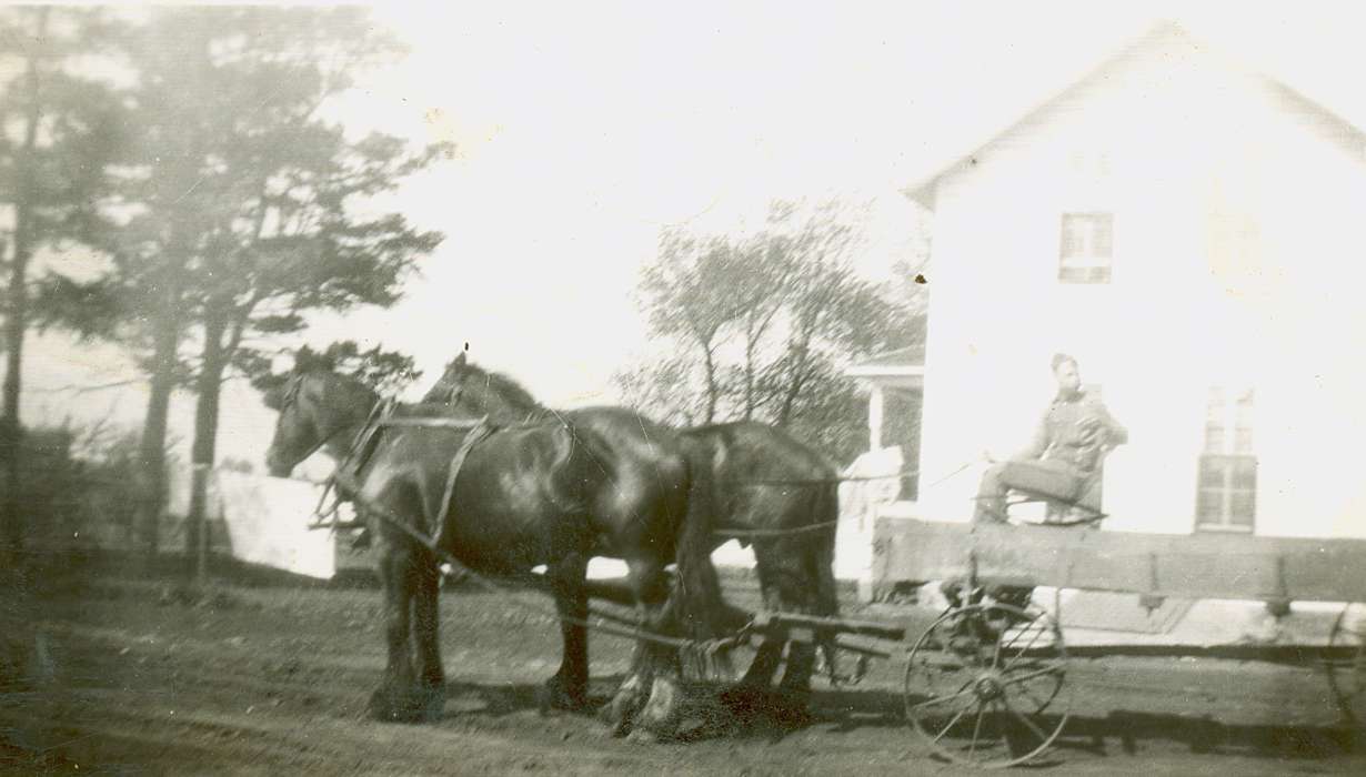 Chickasaw County, IA, Animals, wagon, Iowa History, Iowa, Lang, Mavis, horse, Farms, house, man, history of Iowa